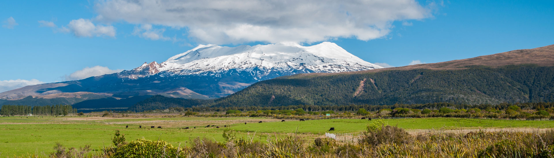 Axiam Global Compact